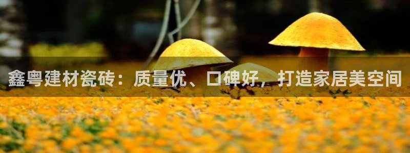 杏鑫平台招商电话号码是多少