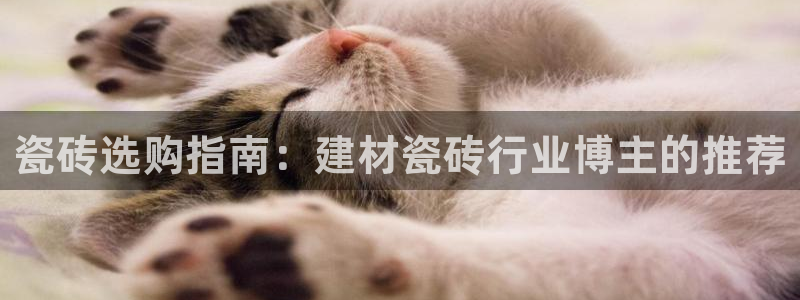 杏鑫平台招商电话号码查询