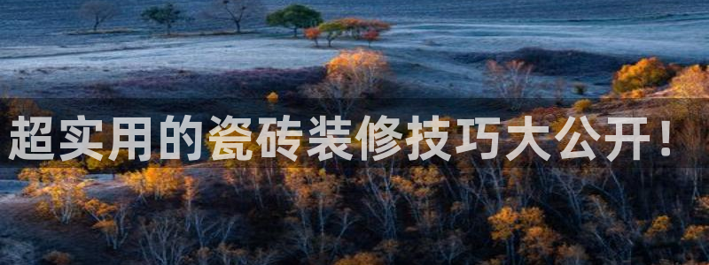 杏鑫平台注册地址是哪里