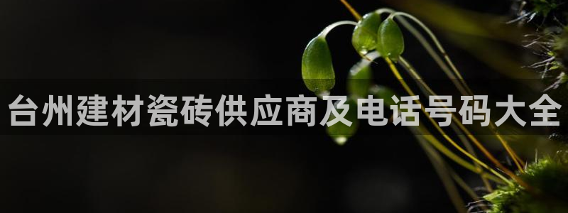 杏鑫平台招商