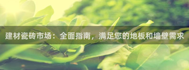 杏鑫官网最新信息新闻