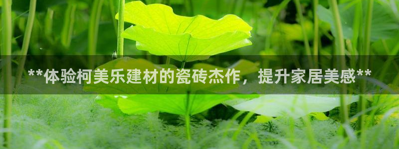 杏鑫平台注册地址在哪里