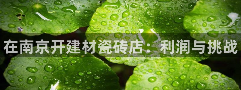 杏鑫平台待遇