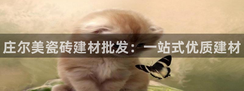 杏鑫平台怎么样黑钱吗安全吗可靠吗