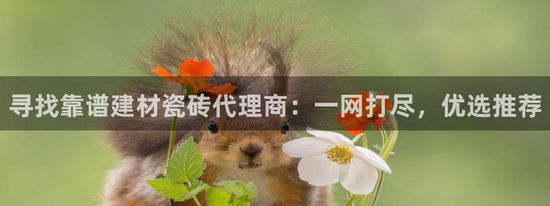 杏鑫平台代理怎么样