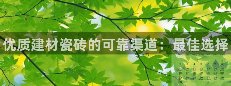 杏鑫注册平台官方网站是什么