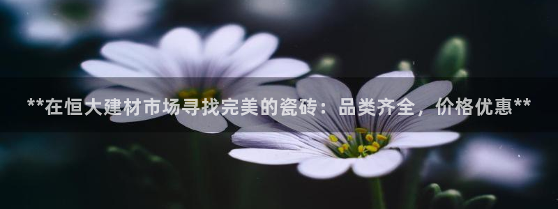 杏鑫平台代理注册登录不了怎么办呀