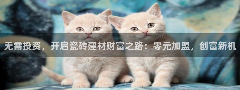 杏鑫娱乐负责人