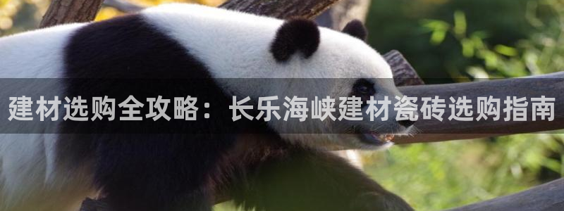杏鑫平台代理怎么做