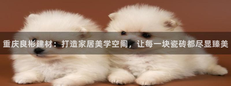 杏鑫平台招商怎么样