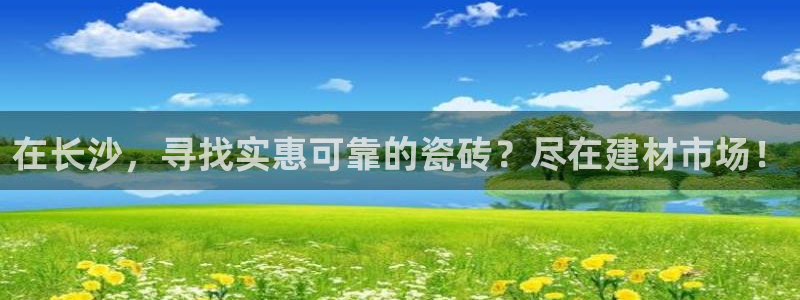 杏鑫平台注册网址查询
