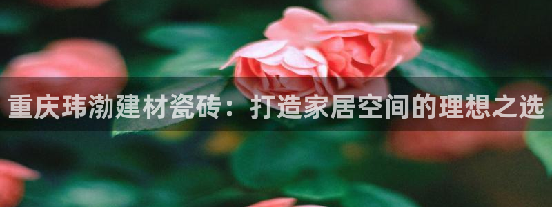 杏鑫官网注册账号密码忘了