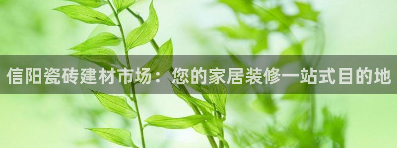 杏鑫官网注册账号是什么意思