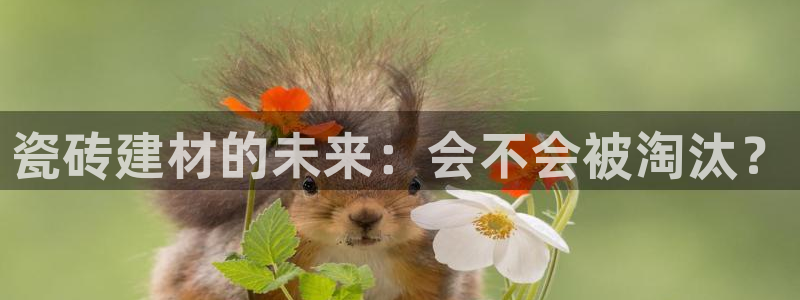 杏鑫娱乐是合法的吗?
