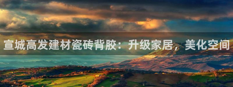 杏鑫平台代理注册流程视频