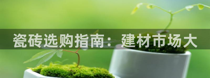 杏鑫娱乐官网登录