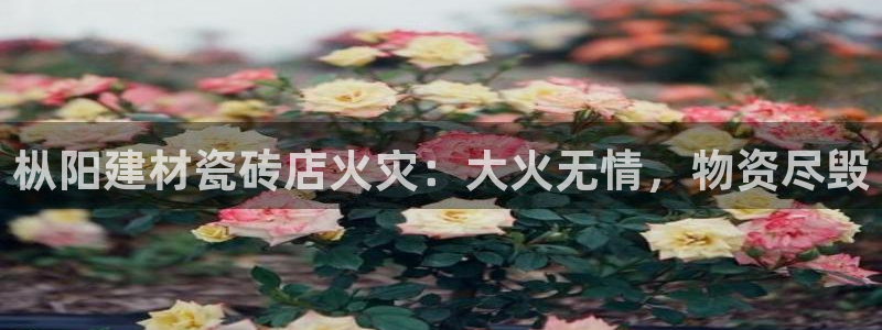 杏鑫平台注册入口在哪里找