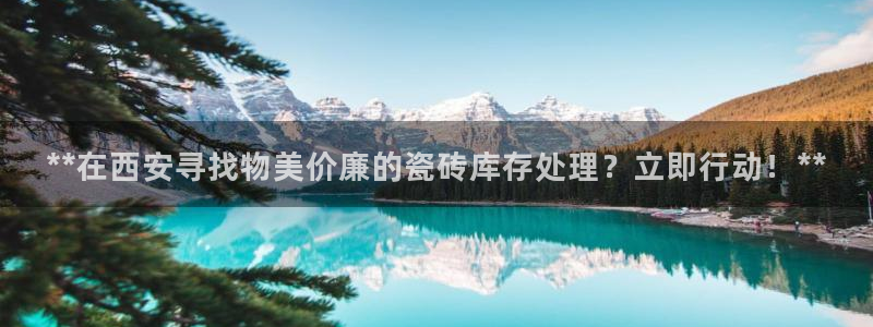 杏鑫注册