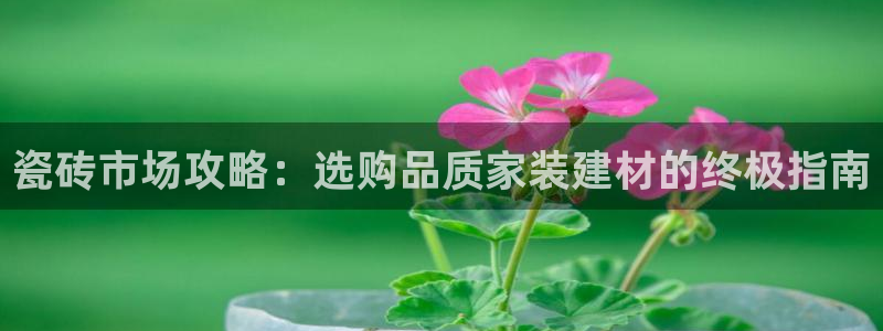 杏鑫平台代理注册多少钱
