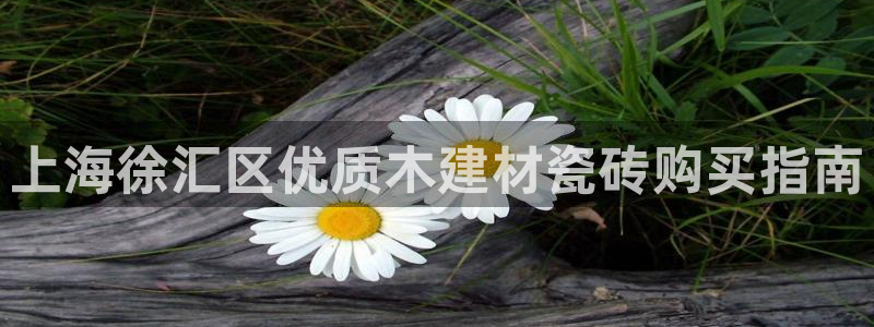 杏鑫娱乐是合法的吗?
