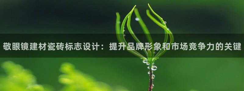 杏鑫平台招商电话号码