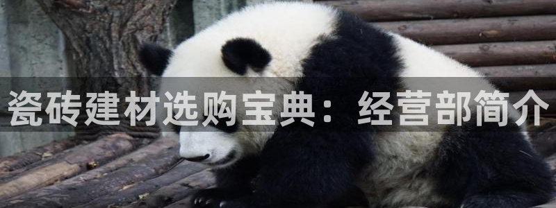 杏鑫平台靠谱吗