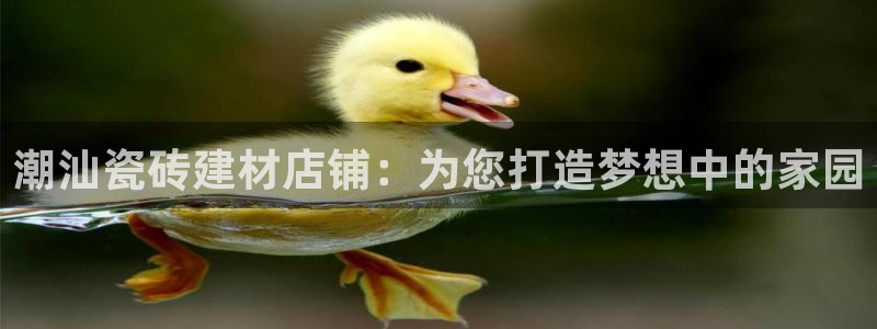 杏鑫平台野马联盟怎么样