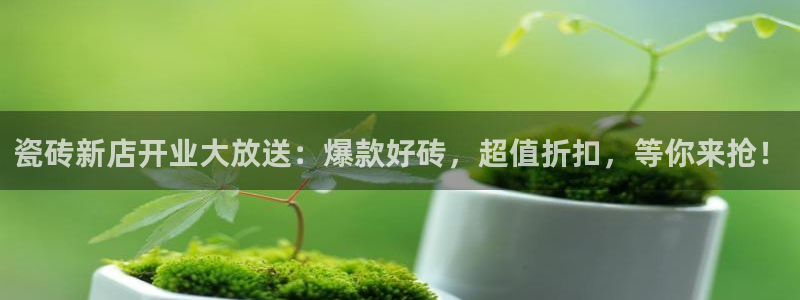 杏鑫平台注册地址