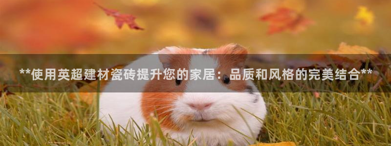 杏鑫娱乐是合法的吗?