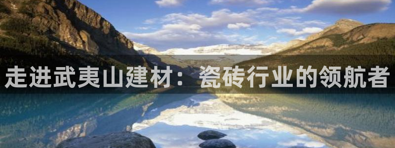 杏鑫平台注册网址查询