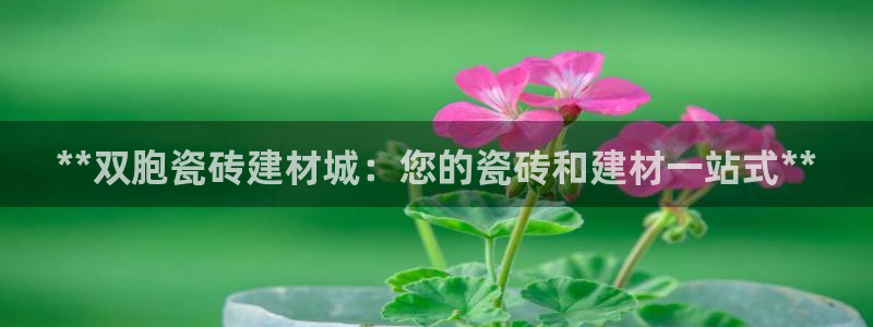 杏鑫官网注册账号怎么注册