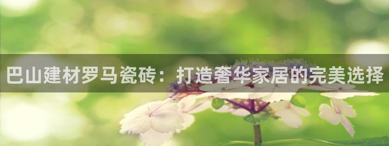 杏鑫平台招商电话号码查询