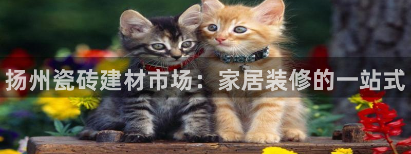 杏鑫平台待遇