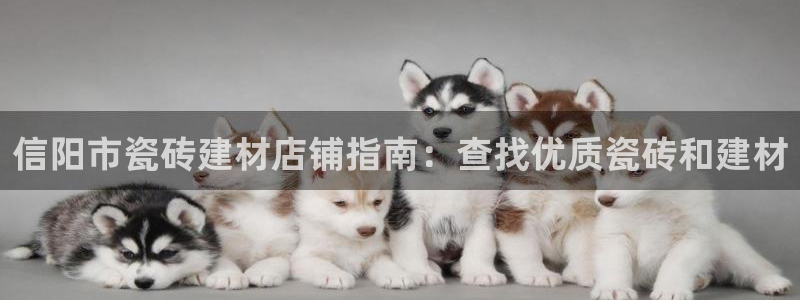 杏鑫平台下载安装