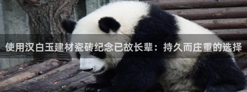 杏鑫官网注册账号是什么意思