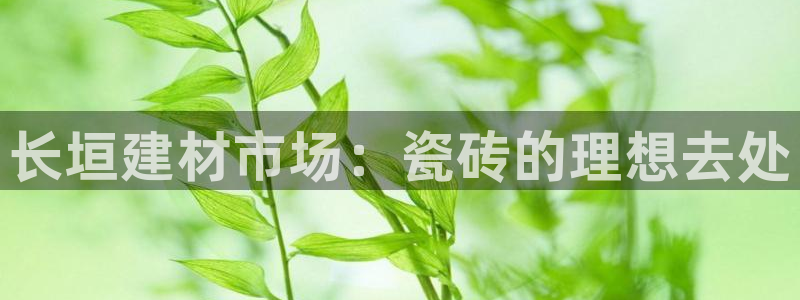 杏鑫官方平台怎么样可靠吗