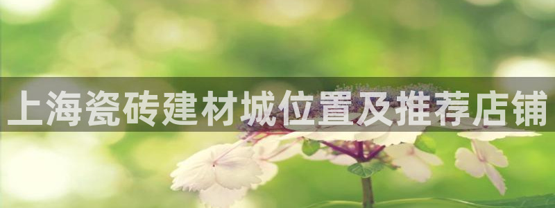 杏鑫平台招商