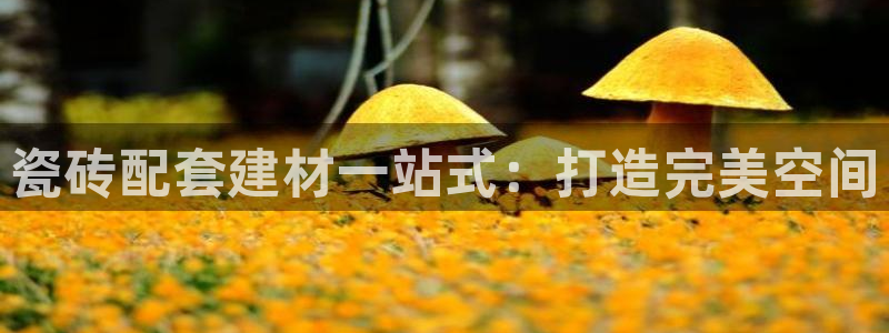 杏鑫官网最新信息新闻报道