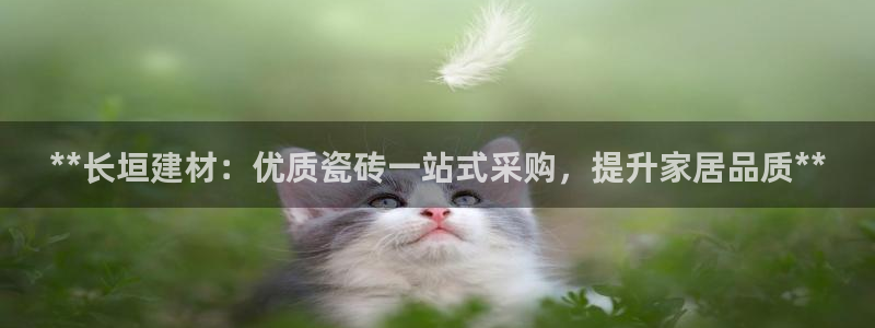 杏鑫官方平台怎么样啊知乎