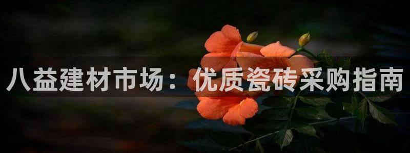 杏鑫有亏损返点吗