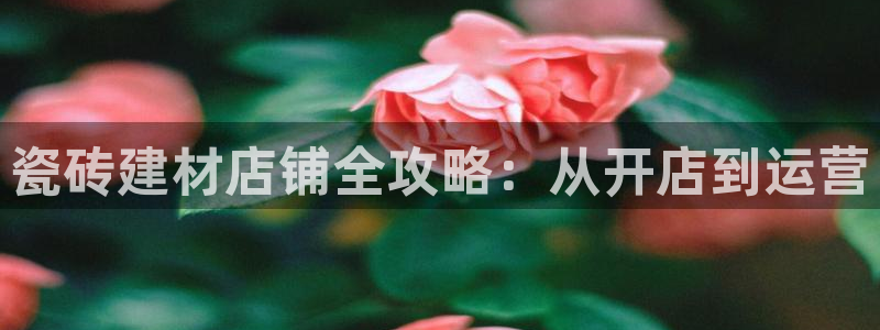 杏鑫官网注册账号是什么样的