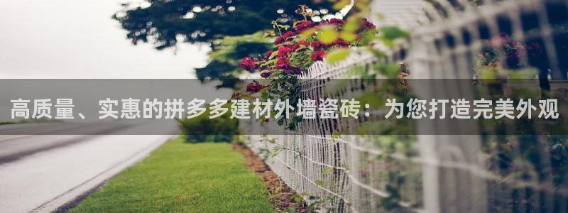 杏鑫平台代理怎么样