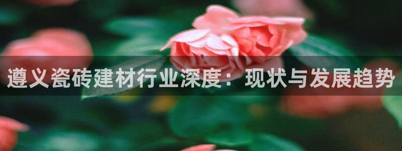 杏鑫平台怎么样黑钱吗是真的吗