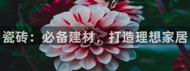 杏鑫娱乐平台登录