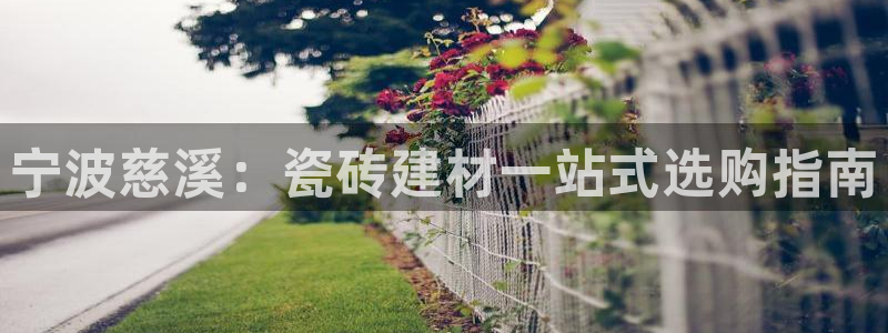 杏鑫平台是黑平台吗