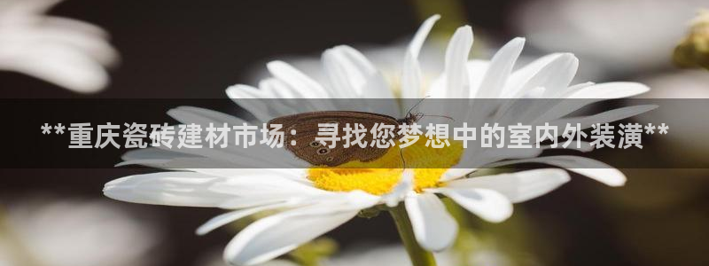 杏鑫平台正规吗是真的吗