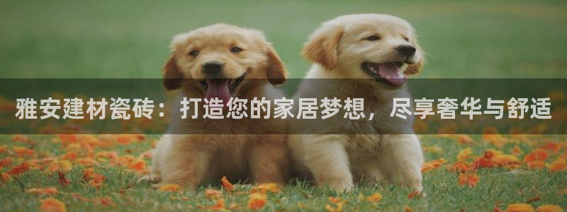 杏鑫平台广7O777