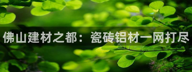 杏鑫官方平台怎么样啊安全吗