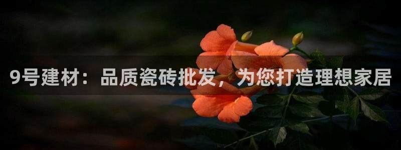 杏鑫平台招商