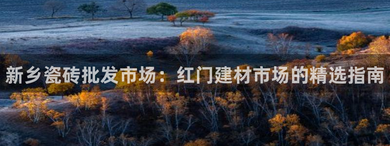 杏鑫平台待遇